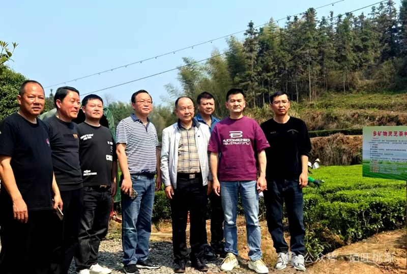 【祝賀】聖仙界牌“富硒營(yíng)養(yǎng)素茶”獲CCTV中視購(gòu)物國(guó)貨優(yōu)品品牌